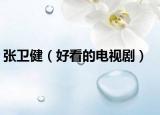 张卫健（好看的电视剧）