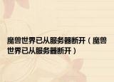 魔兽世界已从服务器断开（魔兽世界已从服务器断开）