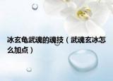 冰玄龟武魂的魂技（武魂玄冰怎么加点）