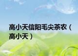 高小天信阳毛尖茶农（高小天）