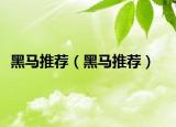 黑马推荐（黑马推荐）