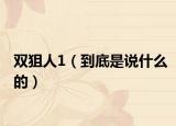 双狙人1（到底是说什么的）