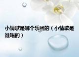 小情歌是哪个乐团的（小情歌是谁唱的）