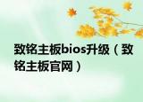 致铭主板bios升级（致铭主板官网）