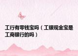 工行有零钱宝吗（工银现金宝是工商银行的吗）