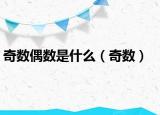奇数偶数是什么（奇数）