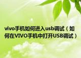 vivo手机如何进入usb调试（如何在VIVO手机中打开USB调试）