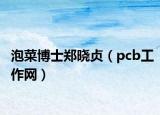 泡菜博士郑晓贞（pcb工作网）