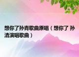 想你了孙青歌曲原唱（想你了 孙清演唱歌曲）