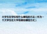 大学生在学校有什么赚钱的方法（作为一个大学生在大学有哪些赚钱方式）