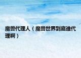 魔兽代理人（魔兽世界到底谁代理啊）