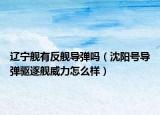辽宁舰有反舰导弹吗（沈阳号导弹驱逐舰威力怎么样）