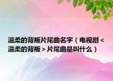 温柔的背叛片尾曲名字（电视剧＜温柔的背叛＞片尾曲是叫什么）