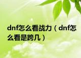 dnf怎么看战力（dnf怎么看是跨几）