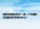 海豚音美国女歌手（有一个外国的女海豚音歌手她叫什么）