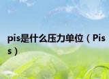 pis是什么压力单位（Piss）