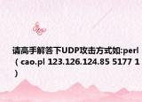 请高手解答下UDP攻击方式如:perl（cao.pl 123.126.124.85 5177 1）