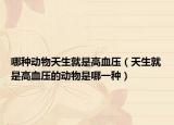 哪种动物天生就是高血压（天生就是高血压的动物是哪一种）
