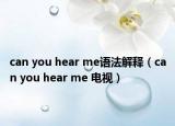 can you hear me语法解释（can you hear me 电视）
