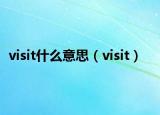 visit什么意思（visit）