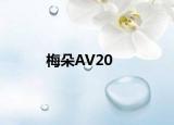 梅朵AV20