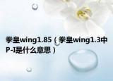 拳皇wing1.85（拳皇wing1.3中P-I是什么意思）