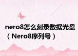 nero8怎么刻录数据光盘（Nero8序列号）