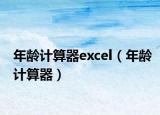 年龄计算器excel（年龄计算器）