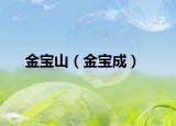 金宝山（金宝成）