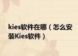 kies软件在哪（怎么安装Kies软件）
