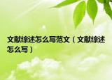 文献综述怎么写范文（文献综述怎么写）