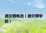 德尔顿电池（德尔顿学院）