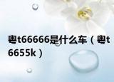 粤t66666是什么车（粤t6655k）