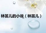 林笛儿的小说（林笛儿）