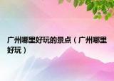 广州哪里好玩的景点（广州哪里好玩）
