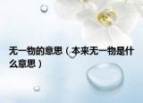 无一物的意思（本来无一物是什么意思）