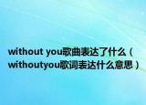 without you歌曲表达了什么（withoutyou歌词表达什么意思）