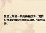 爱情公寓哪一集美嘉生孩子（爱情公寓3大结局的时候美嘉怀了谁的孩子）