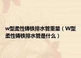 w型柔性铸铁排水管重量（W型柔性铸铁排水管是什么）