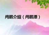 鸬鹚介绍（鸬鹚潭）