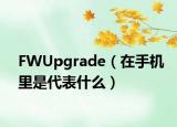 FWUpgrade（在手机里是代表什么）