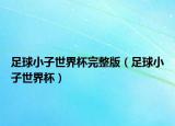 足球小子世界杯完整版（足球小子世界杯）