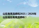 山东有禽流感吗2021（2020年山东现在有禽流感吗）