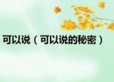 可以说（可以说的秘密）