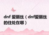dnf 爱丽丝（dnf爱丽丝的住处在哪）