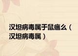 汉坦病毒属于鼠瘟么（汉坦病毒属）