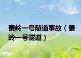 秦岭一号隧道事故（秦岭一号隧道）