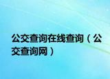 公交查询在线查询（公交查询网）