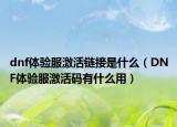 dnf体验服激活链接是什么（DNF体验服激活码有什么用）