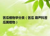 苦瓜植物学分类（苦瓜 葫芦科苦瓜属植物）